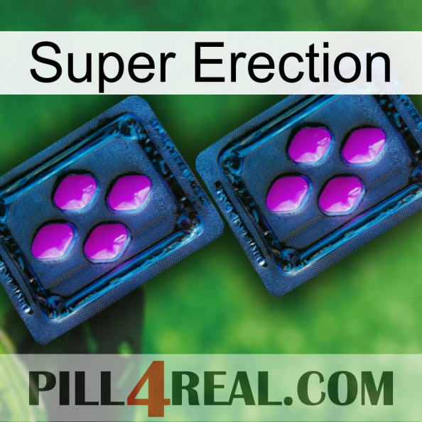 Super Erection 03.jpg